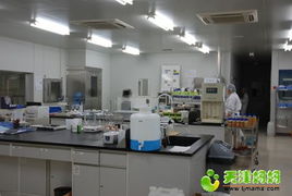 養(yǎng)樂(lè)多工廠體驗(yàn) 健康科普與親子休閑的完美融合